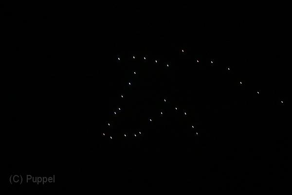 T-20141003-220356_IMG_7595-7.JPG