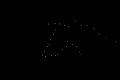 T-20141003-220356_IMG_7595-7