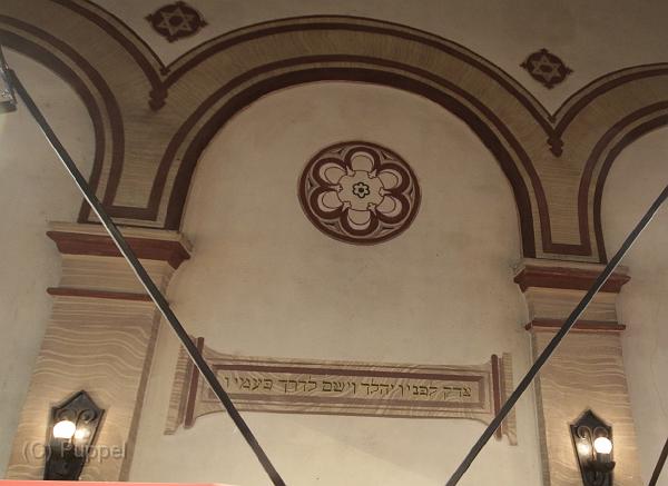 T-20141019-140802_IMG_0143-7a.jpg
