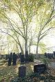 T-20141019-140954_IMG_0157-7