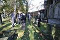 T-20141019-133346_IMG_0011-7
