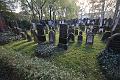 T-20141019-135610_IMG_0111-7