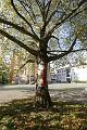 T-20141024-123502_IMG_0410