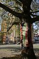 T-20141024-123522_IMG_0414