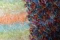 T-20141024-123712_IMG_0432