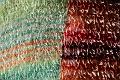 T-20141024-123724_IMG_0435