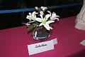 T-20141026-175936_IMG_1934-7a