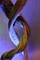 T-20141025-121012_IMG_0620-7a