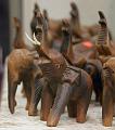T-20141025-121051_IMG_0630-7aa
