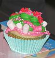 T-20141025-145654_IMG_0928-7aa