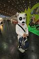 T-20141025-180330_IMG_8786-6a