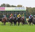 T-20141026-165100_IMG_8983-6a