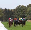 T-20141026-165304_IMG_9036-6a