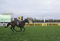 T-20141026-165320_T-20141026-165313_IMG_1607-7aa