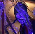 T-20141031-191238_IMG_2877-7a