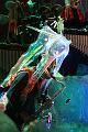 T-20141031-191624_IMG_2965-7