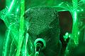 T-20141031-191727_IMG_2997-7