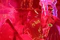 T-20141031-192324_IMG_3168-7