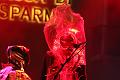 T-20141031-192416_IMG_3244-7
