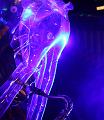 T-20141031-193217_IMG_3487-7a