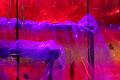 T-20141031-193538_IMG_3538-7