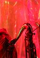 T-20141031-193917_IMG_3621-7a