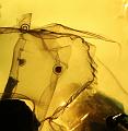 T-20141031-195341_IMG_3954-7a