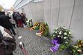 T-20141110-125710_125832_IMG_0951-6
