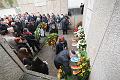 T-20141110-131835_131957_IMG_1019-6