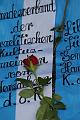 T-20141110-135254_135254_IMG_5874-7
