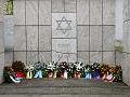 T-20141110-140421_140421_P1790108-Ga