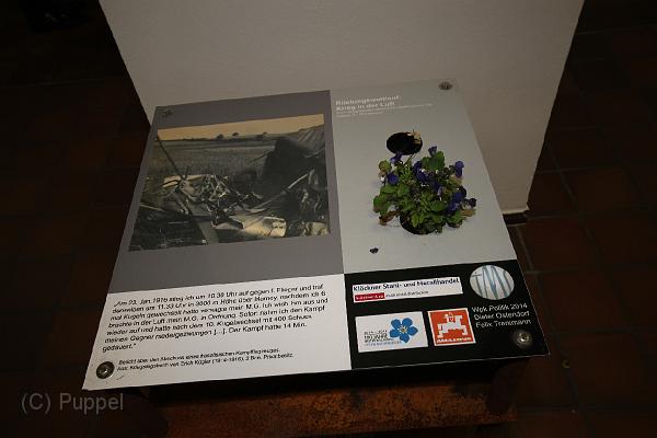 T-20141115-173415_IMG_1678-6.JPG