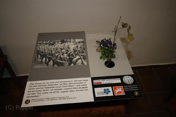 T-20141115-173439_IMG_1683-6.JPG