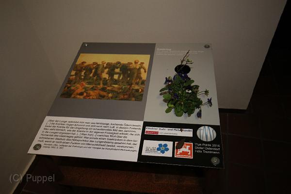T-20141115-173442_IMG_1684-6.JPG