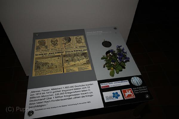 T-20141115-173446_IMG_1685-6.JPG
