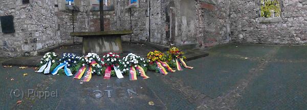 T-20141116-171258_P1240350-Za.jpg