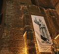 T-20141215-195046_IMG_0773a
