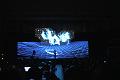 T-20150315-180849_IMG_6228-6-