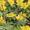 T-20150308-142954_IMG_9098-7a