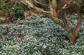 T-20150308-143342_IMG_9200-7