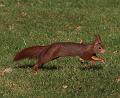 T-20150308-150432_IMG_9493-7_a