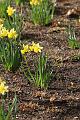 T-20150403-161648_IMG_6791