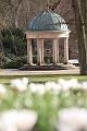 T-20150403-170104_IMG_6987