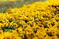T-20150408-124922_IMG_6847a
