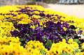 T-20150408-124948_IMG_6842a