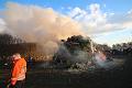 T-20150404-191250_IMG_8256-6