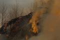 T-20150404-191555_IMG_7120-7