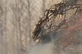 T-20150404-191622_IMG_7128-7