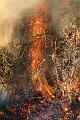 T-20150404-191647_IMG_7147-7