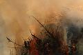 T-20150404-192129_IMG_7174-7
